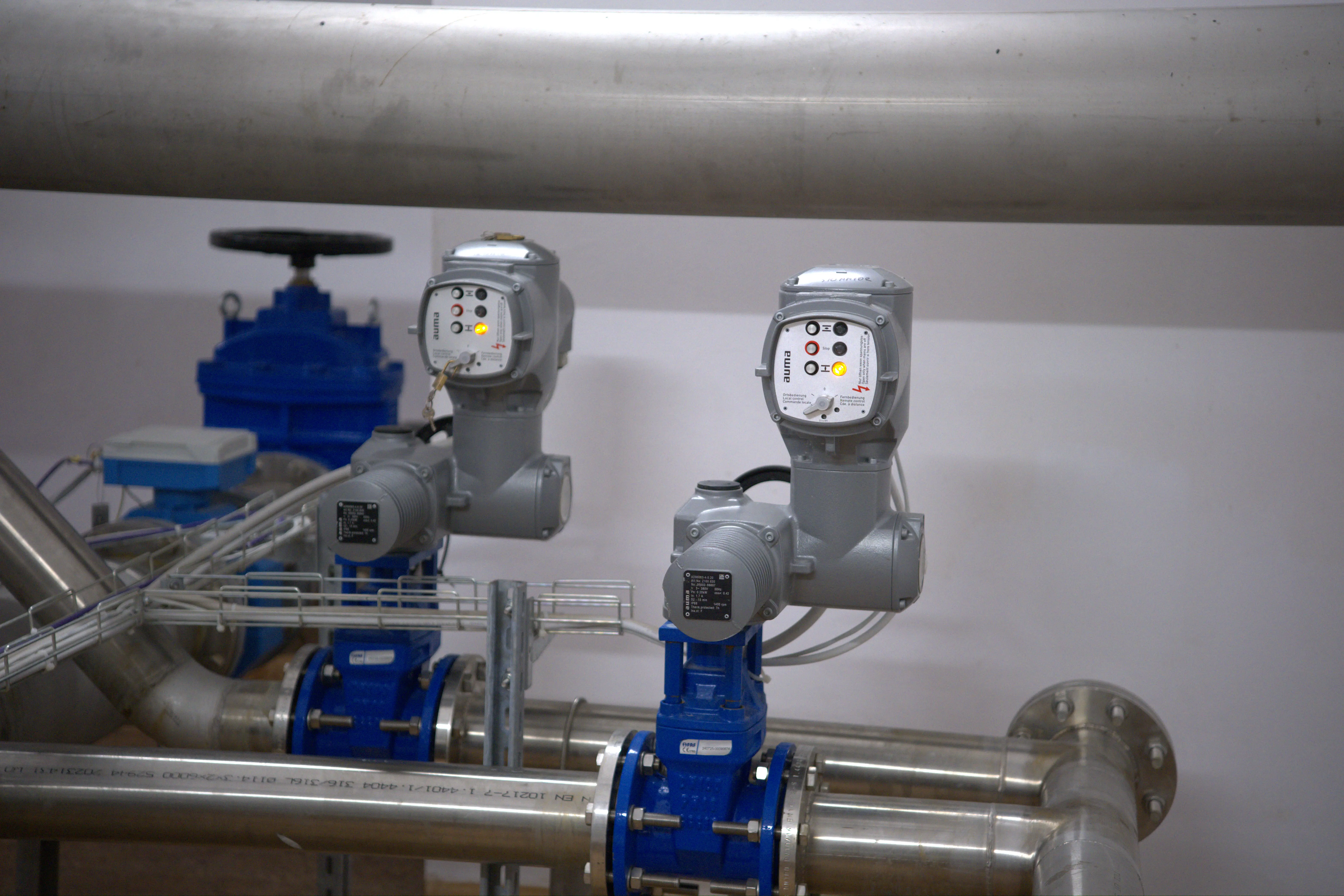 RAS and WAS valve assembly